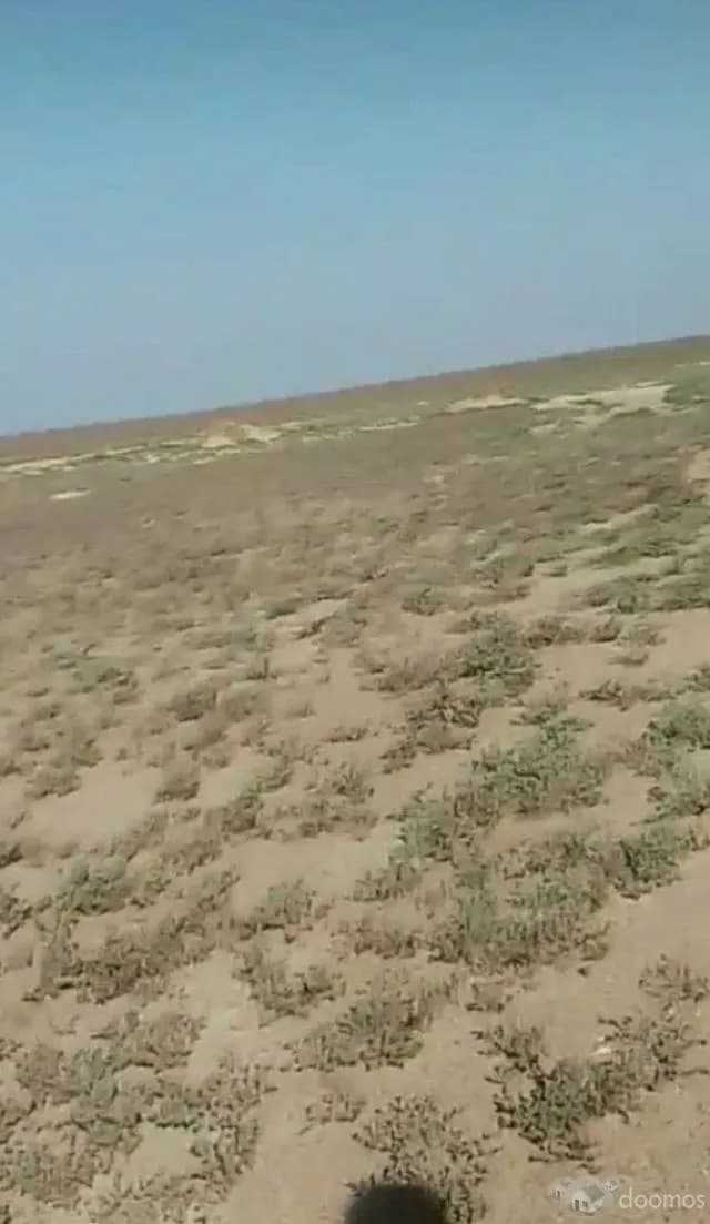 Venta Terreno Agrícola 50 Hectáreas - 2