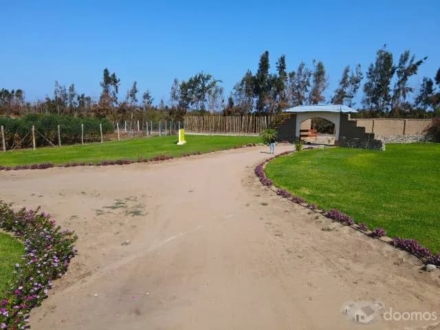 TERRENOS CON MÁS DE 1000MT2 EN CONDOMINIO ECOLÓGICO "DUNAS DE PUR PUR" - 1