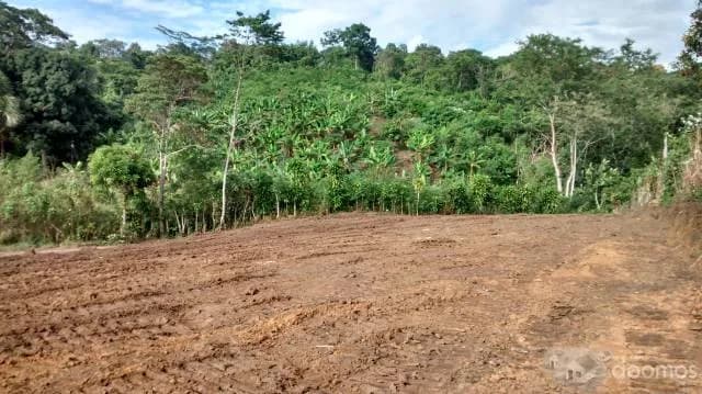 Vendo Lotes 160m2 cerca a plaza de Armas de Tarapoto - 1