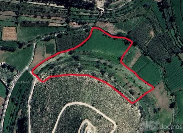 Vendo Terreno agricola 15550m2 en el distrito de quequeña a 300m de la plaza principal, ideal para negocio, recreo, cultivo, casa de campo - 1