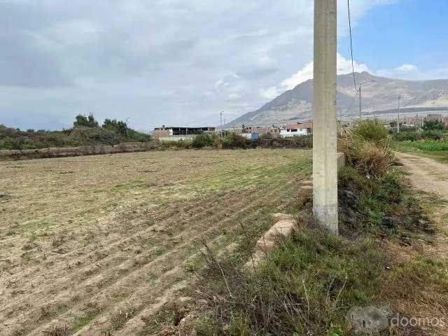 VENDO TERRENO UBICADO EN MOCHE,TRUJILLO,  ZONA RURAL TAMBO GRANDE Y MOCHE - 2