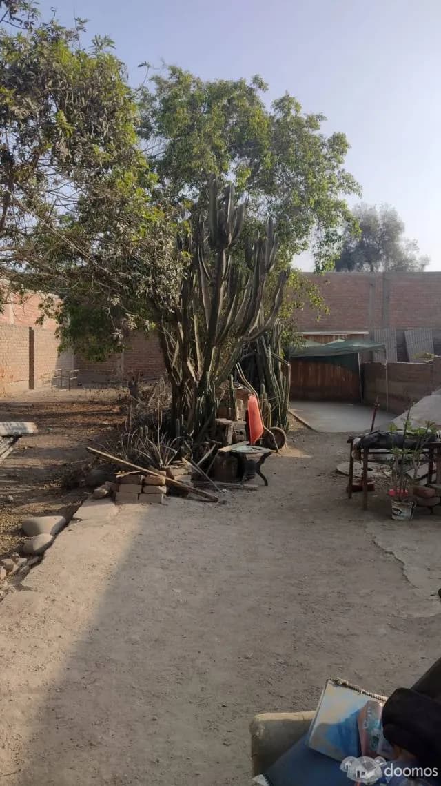 ¡OPORTUNIDAD DE INVERSIÓN! TERRENO EN AVENIDA PRINCIPAL DE ALTO TRÁNSITO - IDEAL PARA NEGOCIOS - 1