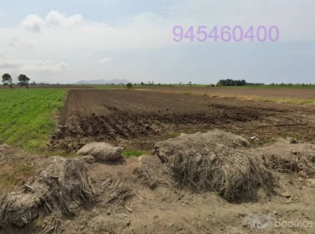 Terreno Agricola VIRU - 1