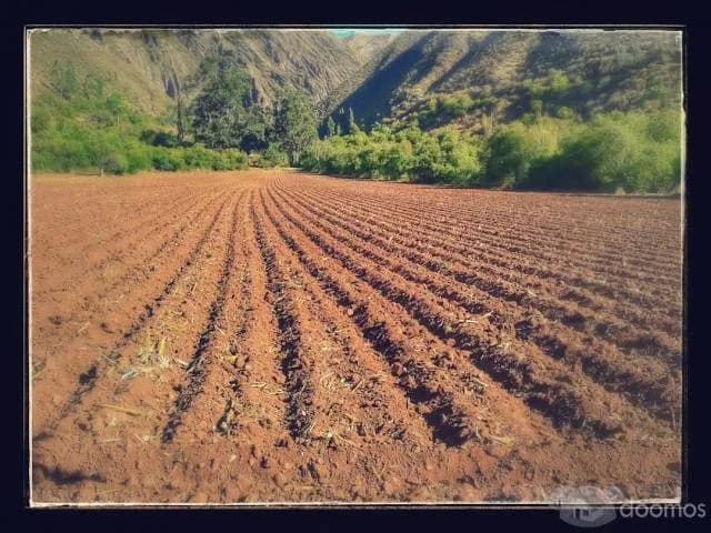 Lotes en Venta en el Valle Sagrado – Inversión con Alta Rentabilidad - 2