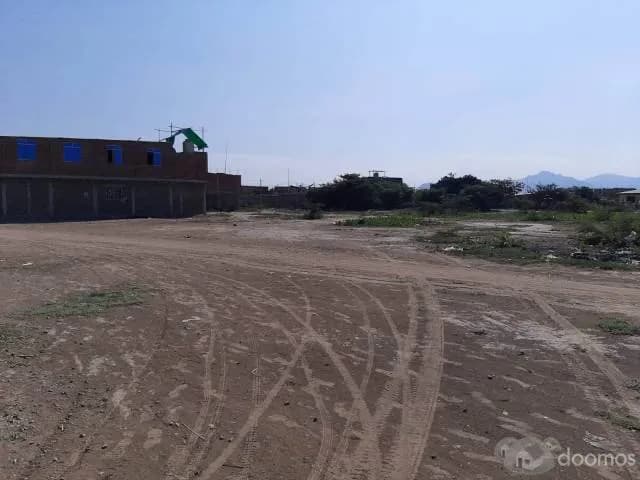 Venta De Terrenos Jayanca - 1