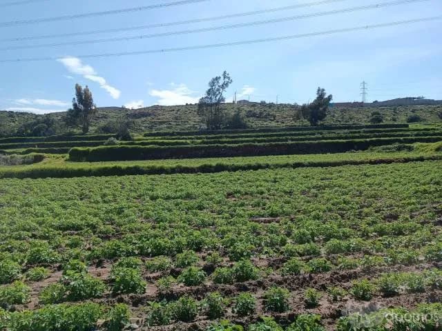 Ocasión Fundo la Romaña - 1