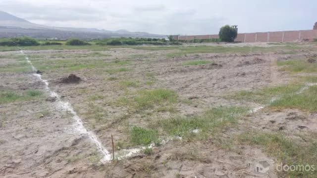 OCASIÓN – VENTA DE TERRENO EN MOCHE - 2