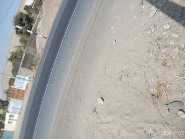 VENTA DE 14 HECTÁREAS DE TIERRA AGRICOLA DE  1ra. calidad colindante al Km. 214 de la antigua Panamericana Sur - 1