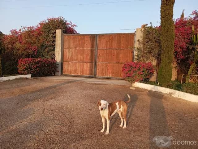 Parcela de 4 hectáreas VENDO   a.  ". $ 25,000 ".  por hectarea - 1