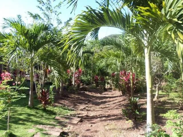 Vendo Hospedaje "El Paraíso" en San Antonio del Río Mayo - 1