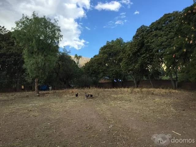 VendoTerreno 2133 m2,Espiritu Santo-Huanta (alturaPiscina GUITARRITA) - 2