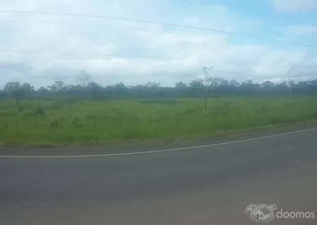 TERRENO AGRICOLA - 1