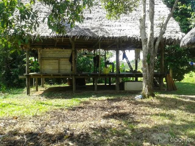 Gran Oportunidad!! Pastizal en Rio Yarapa! - 1