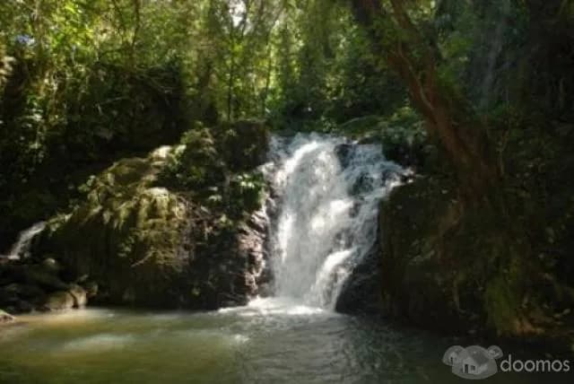 Vendo Maravilloso Fundo La Isla del Gallo en tocache - 2