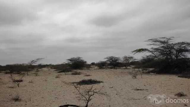 TERRENO INDUSTRIAL CAMINO PAITA COLAN - 1