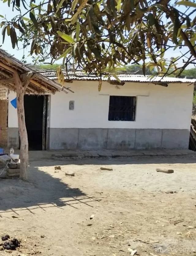 Vendo Terreno Agrícola de 12 hectáreas - Distrito Salas - Departamento Lambayeque - 1