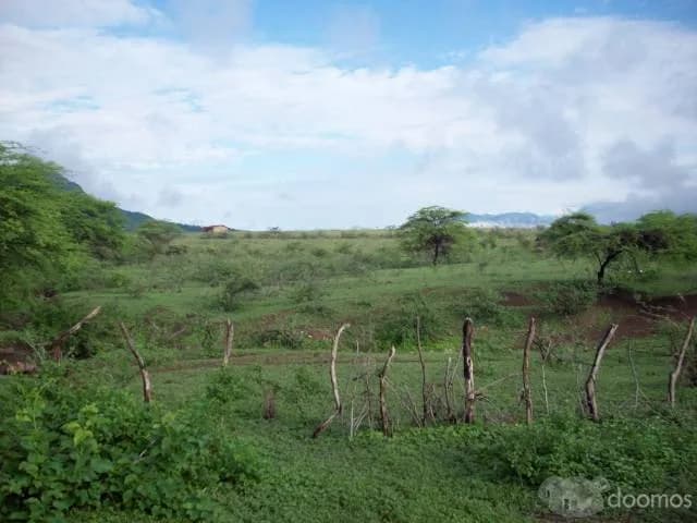Vendo 584 Has con dos pozos de Agua. - 1