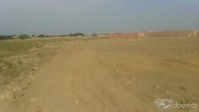 VENDO TERRENOS DE 120 M2 6m x 20m EN MONSEFÚ CHICLAYO - 2