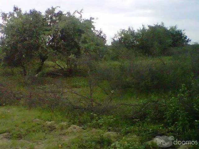 VENDO TERRENO AGRÍCOLA  "EXCELENTE INVERSIÓN" - 1