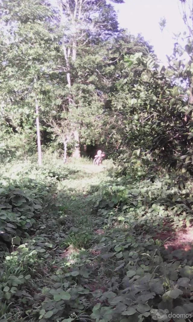 terreno acto  para comercializacion de productos agricolas - 1