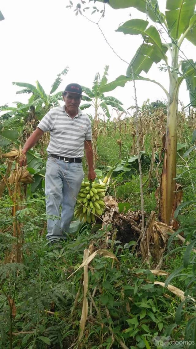 TERRENO DE CAMPO - 2