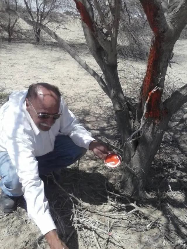 VENDO AREA DE TERRENO PARA INDEPENDIZAR - 1