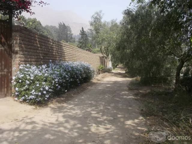 SE VENDE CASA A PRECIO DE TERRENO EN CHOSICA - 1