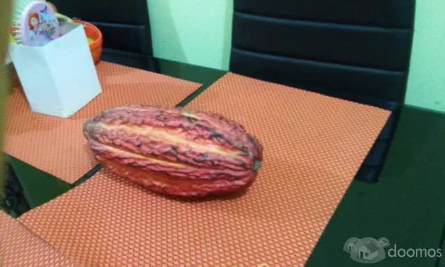 VENDO CHACRA  DE 3 HECTAREAS DE CACAO EN SANAMBO - 2