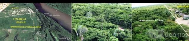 Amazon Eva -Proyecto Selva - 1