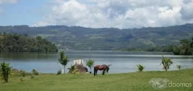 VENDO TERRENOS AGRICOLAS Y URBANOS INSCRITOS RRPP - 1