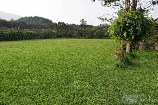 Alquiler de jardines para eventos en Pachacamac - 1