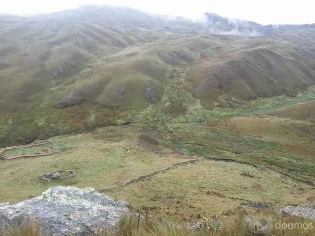 Vendo terreno 89 hectareas - 1
