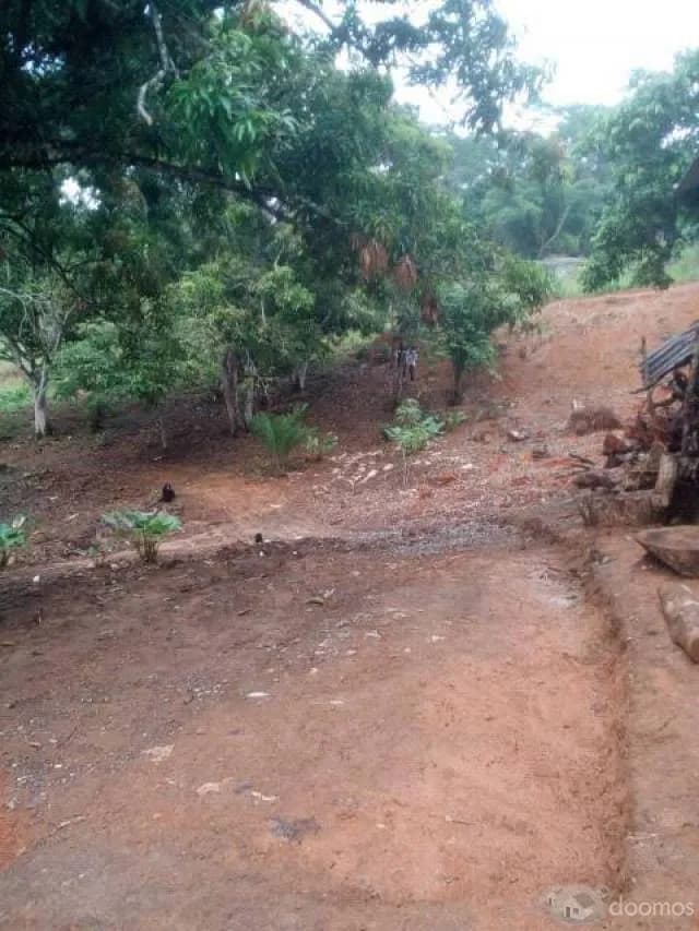 926314642 vendo lotes  en las lomas   los metrajes q desean    con papeles en la mano - 1