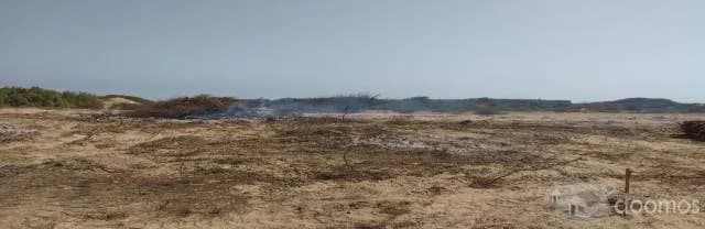 VENTA DE TERRENO AGRICOLA EN SAN PEDRO DE LLOC, Provincia de Pacasmayo - 1