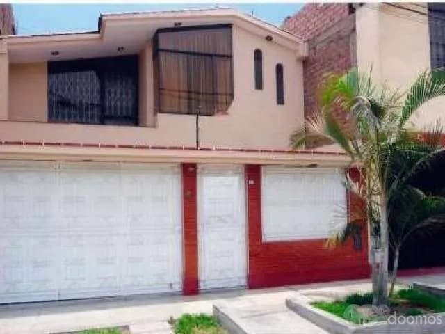 Alquiler de casa solo primer piso en los Olivos Los Castaños 1145 Covida III etapa - 1