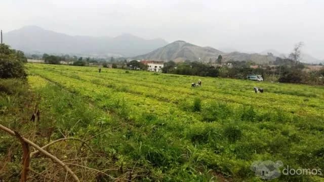 SE VENDE TERRRENO UBICADO EN MANCHAY ALTO  EXACTAMENTE EN LA CURVA ZAPATA EN LA CARRETERA PAUL PAULET - 1
