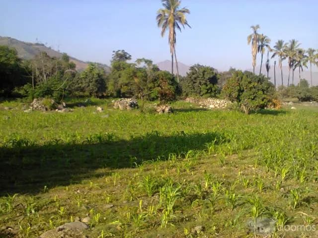 TERRENO EN SHIRAN - 1