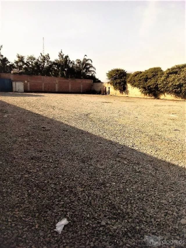 A buen precio alquilo Terreno cercado con casa de material noble. - 1