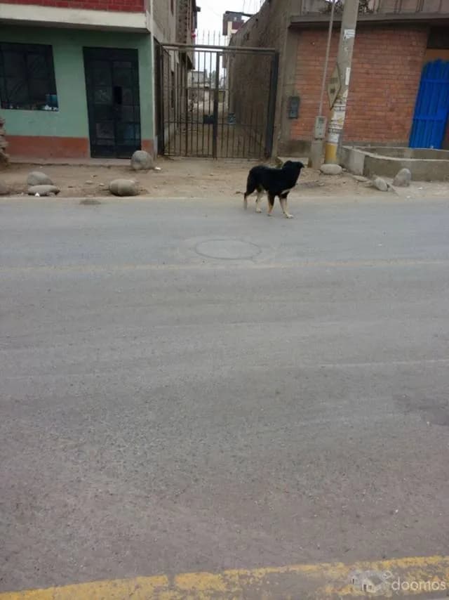 OCASIÓN DE OFERTE DE TERRENO LURIGANCHO - 1