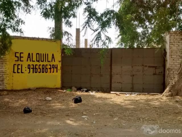 ALQUILER LOCAL COMERCIAL - 1