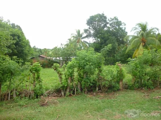 TERRENO DE 781 M2 EN BELLO HORIZONTE - TARAPOTO - 1