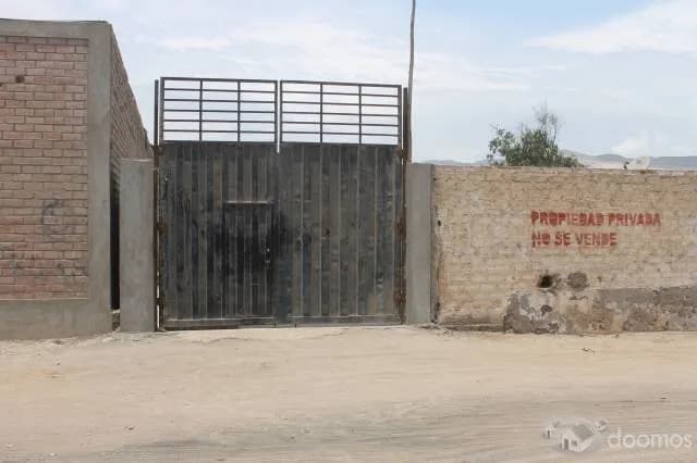 OCASION ALQUILO / VENDO TERRENO DE 10000 MT2 EN CHILCA - 1