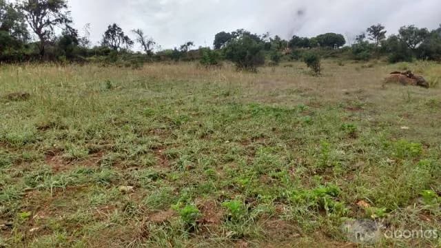 VENDO TERRENO EN HUANUCO 7200m, PARA CASA CAMPO O SEMBRÍO, ZONA SIN HUAYCOS - 1