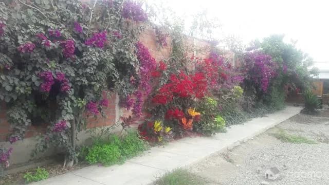 Excelente Local Comercial en Lurín 2500 M2 - 1