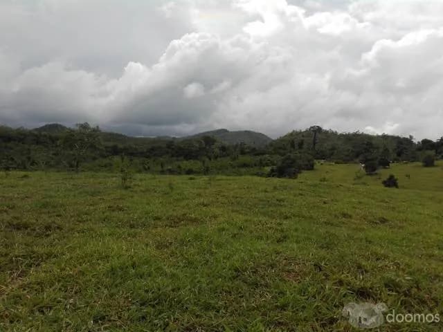 remato fundo - 1