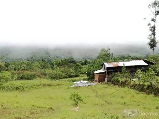 Venta de Terreno en producción La unión Amazonas - 1