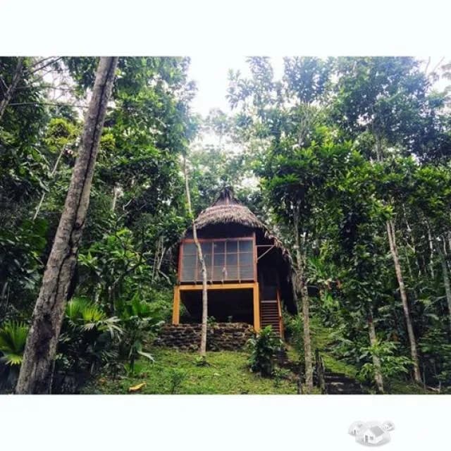 Good investment oportunity in Tarapoto - 2