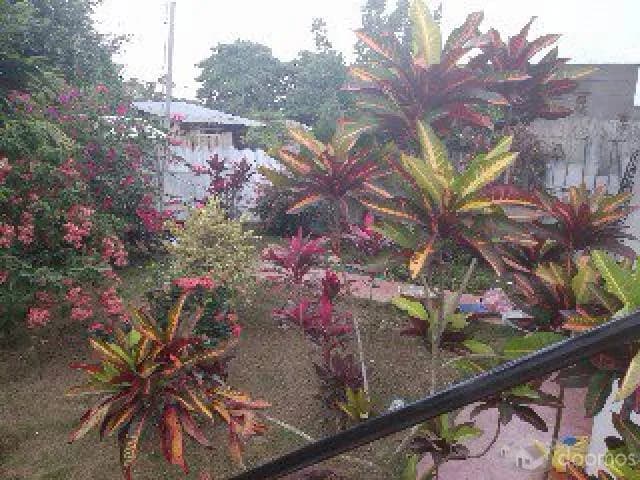 949937953 DEPARTAMENTO AMOBLADO.400 - 1