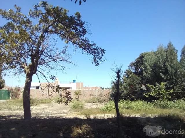 Vendo hermoso terreno en Salas Guadalupe Ica - 2