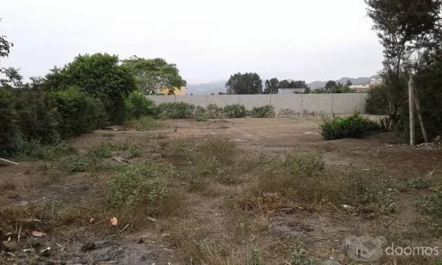 Excelente ocasión amplio terreno en Chocalla - 1